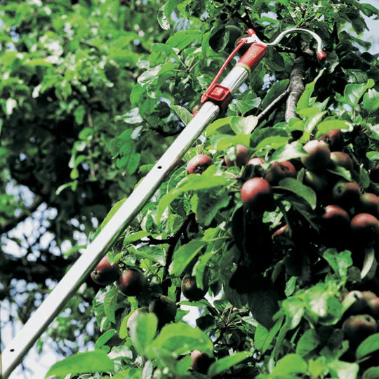 Gancho multi-star Wolf Garten