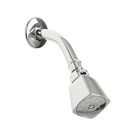 Regadera clásica con brazo y chapetón