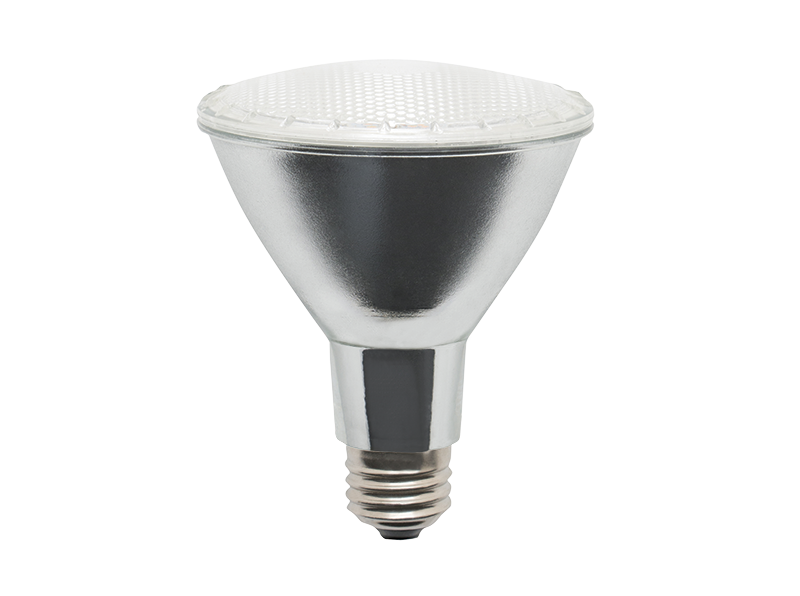 Foco led par30smd luz de dia e26 11w ipsa