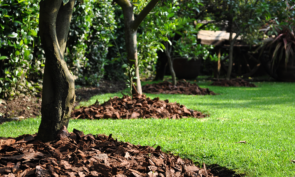 Reparador de pasto SOS de 1.3 kg