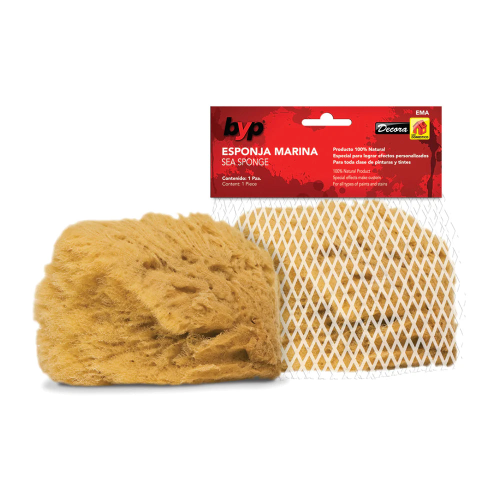 Esponja marina BYP para pintar