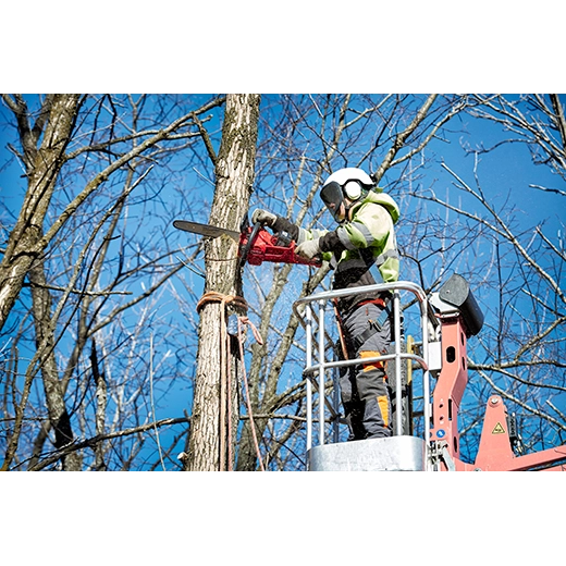 Motosierra eléctrica Milwaukee M18 de 16"