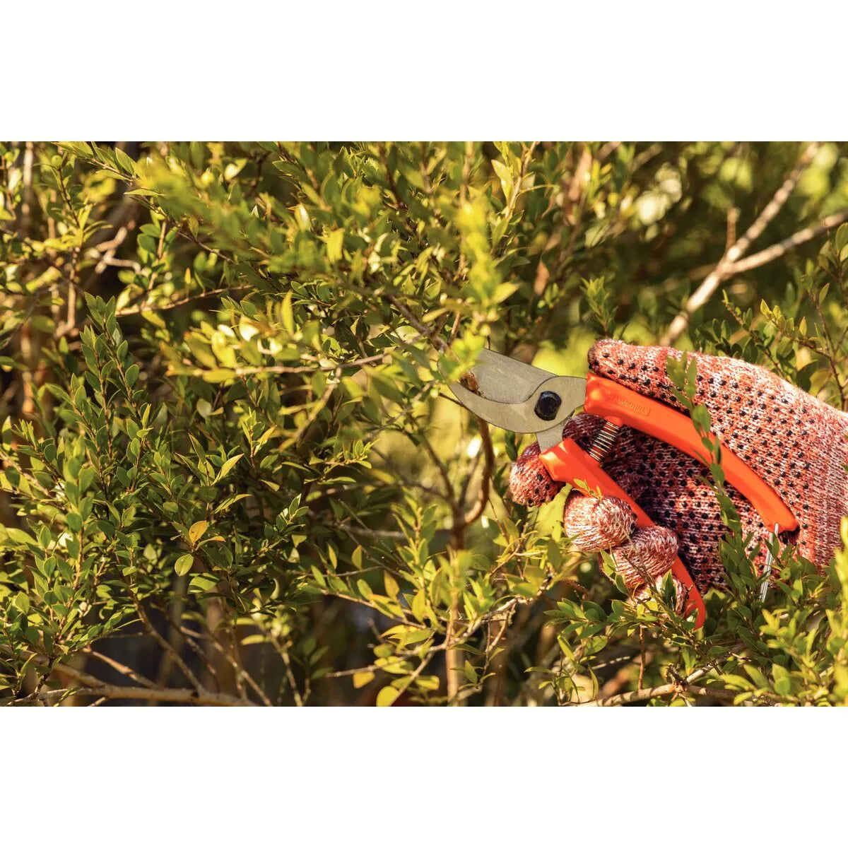 Tijera de poda Tramontina naranja