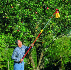 Canastilla multi-star recogedora de frutas Wolf Garten