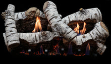 Load image into Gallery viewer, CHIMENEA DE LEÑOS 24&#39;&#39; ESTILO ABEDUL DE GAS (SIN VENTILACION) - GRUPODONPEDRO
