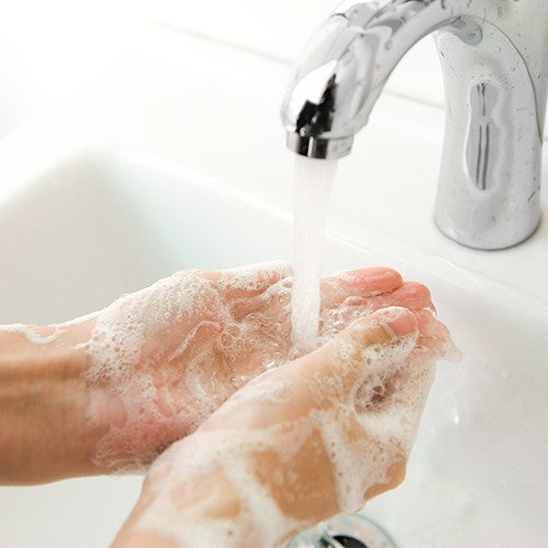 Bomba doméstica monofásica de 0.25 hp Evans 1HME025