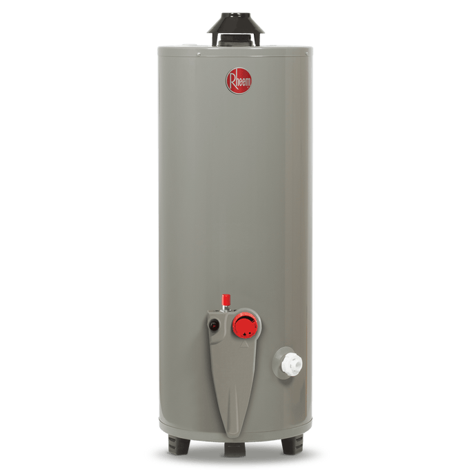 CALENTADOR GAS LP 76 LTS - 2 SERVICIOS RHEEM - GRUPODONPEDRO