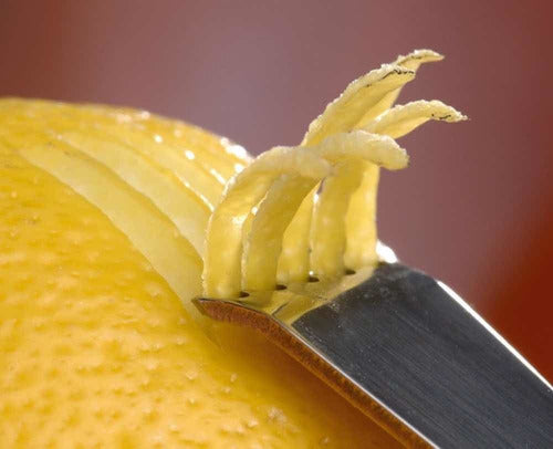 Rallador de limones Victorinox 5.3503