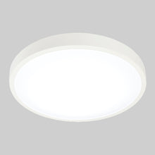 Cargar imagen en el visor de la galería, Luminaria plafon anser I - 16w - 6500k blanco
