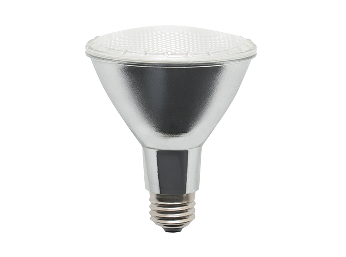 Foco led par30smd luz de dia e26 11w ipsa