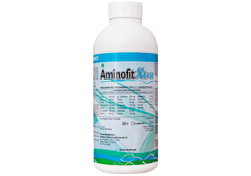 AMINOFIT XTRA 1 LT - GRUPODONPEDRO